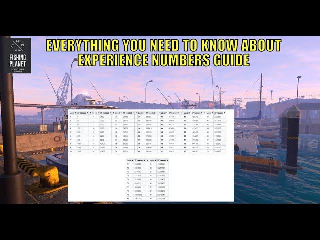 Fishing Planet,Everything You Need To Know About Experience Numbers Guide