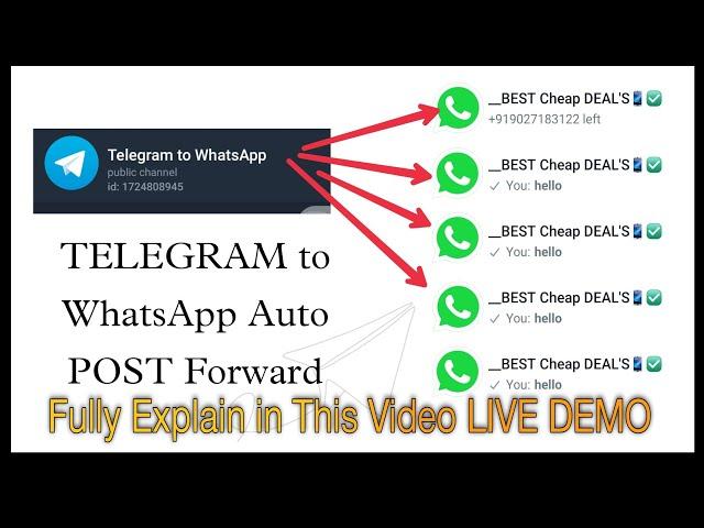 telegram channel to WhatsApp multiple groups in auto forward post, text, image autoforwarding system