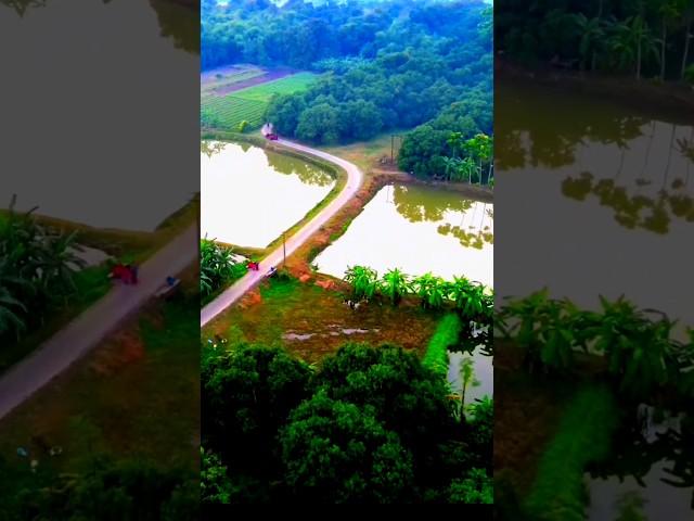 Serene Village Roads #DroneFootage #nature #travel #villagelife #scenicviews #dronevideo #shorts