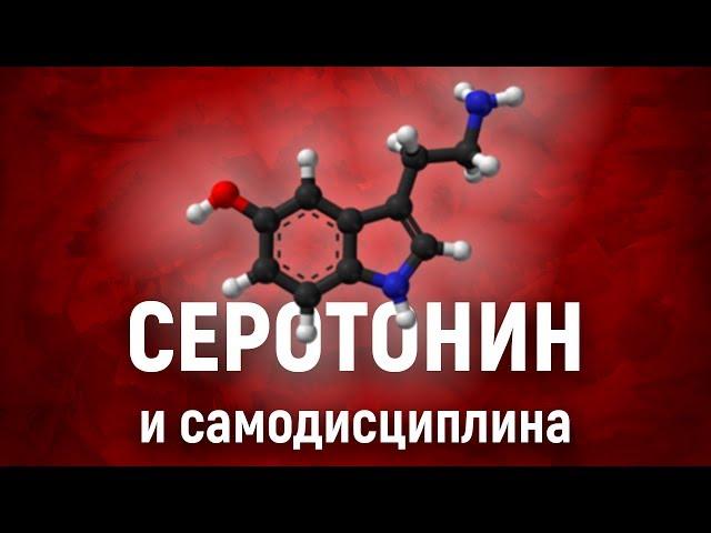 Как серотонин влияет на САМОДИСЦИПЛИНУ. Химия силы воли