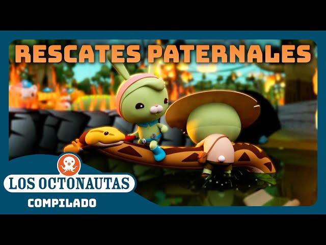 Los Octonautas -  Rescates paternales ️ | Episodios Completos | Compilado