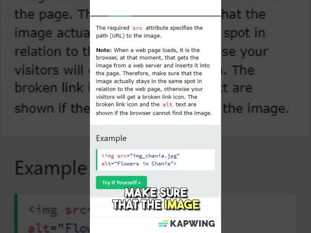 #The #src #attributes  in #Image in #html for #beginners