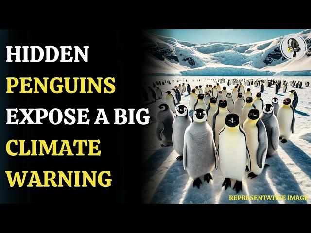 Hidden Emperor Penguin Colonies Discovered! | WION Podcast