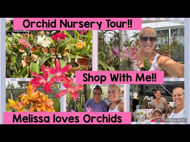 Orchid nursery tours! Let’s shop for more Orchids!!