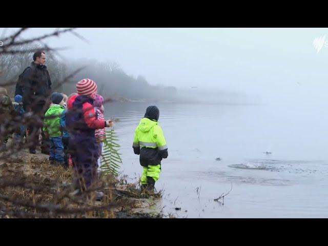 Kids Gone Wild- Denmark's Forest Kindergartens