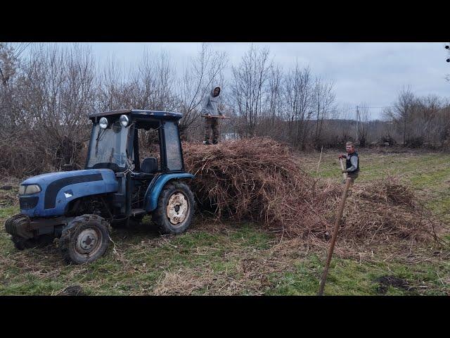 1.02.2025.Як високо косити осінню малину,на зиму.Коли можна пересаджувати малину.