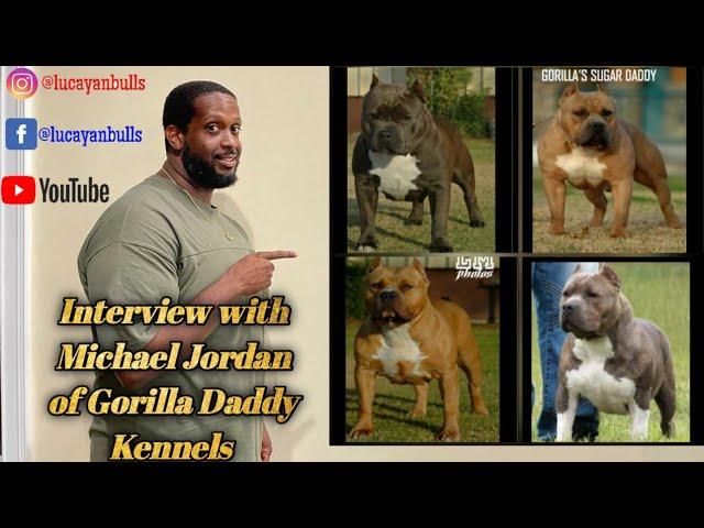 GORILLA KENNELS IS BACK!!! (Interview  with Owner Michael Jordan)