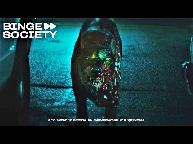 Resident Evil: Welcome to Racoon City:  Zombie Dog Scene