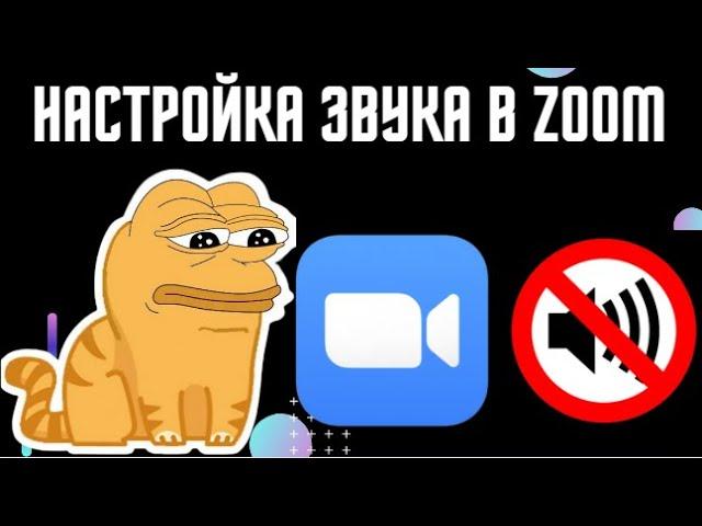 Решение проблемы со звуком в ZOOM | Что делать если не работают звук и микровофон в зуме?