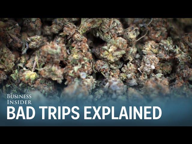 Dr. Sanjay Gupta: Here's Why People Get Bad Marijuana Trips