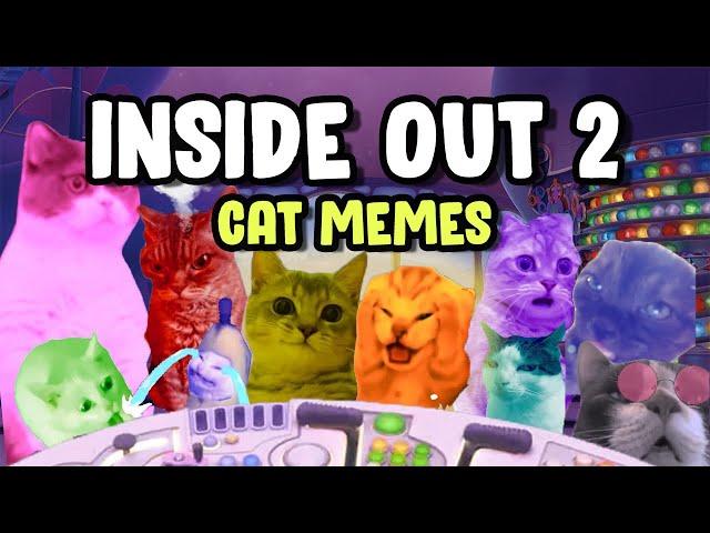 CAT MEMES: INSIDE OUT 2