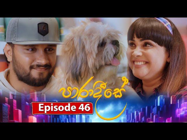 Paradeese | Episode 46 - (2024-10-01) | ITN