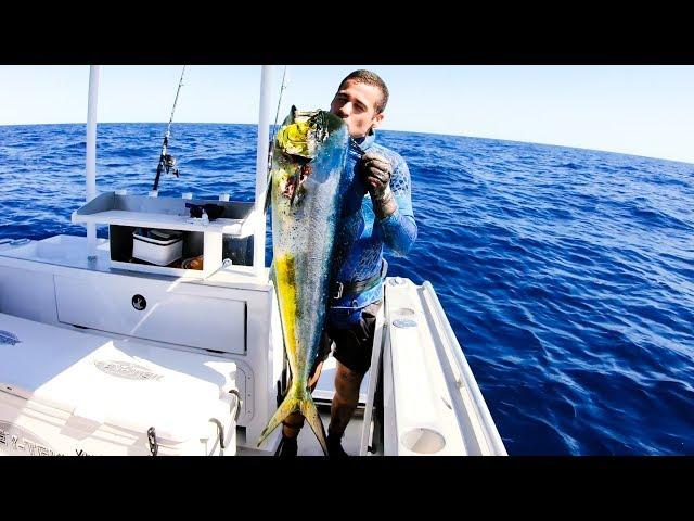 WHAT SPEARFISHING GEAR WE USE mahi catch clean and cook - Ep 77