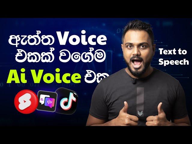 How To Do the Voice Changer on TikTok? Don't Miss Text to Speech