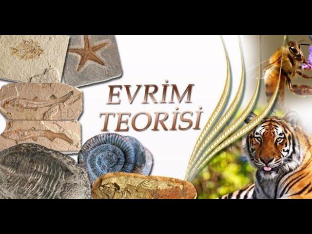 İnsanın Evrimi Belgeseli - Türkçe Dublaj - Belgesel Burada #evrim #darwin