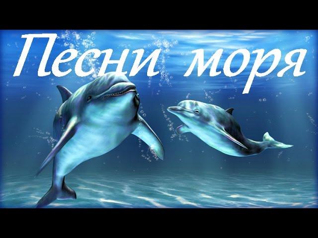 1 Hr - Пение Дельфинов и Звуки Океана / Dolphins and Ocean Sounds