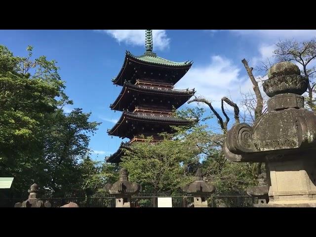 Free-to-Use Stock Footage of Japanese Building