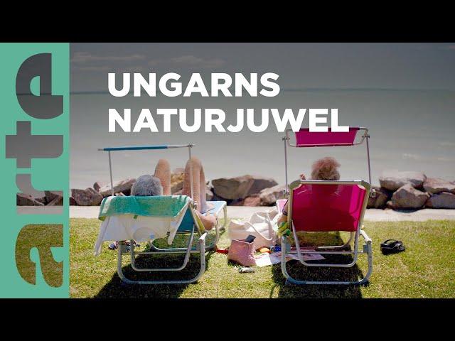 Ungarn: Der Balaton | Stille Wasser  | ARTE Family