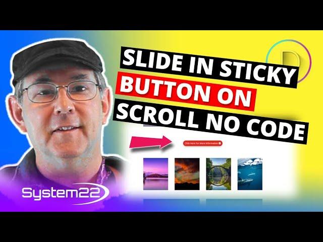 Divi Theme Slide In Sticky Button On Scroll No Coding 