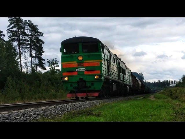 (Great sound of engine 10D100) Locomotive 2TE10U-0184 with freight train on stretch Trepe-Krustpils.