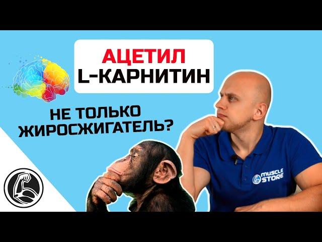 Ацетил L-карнитин, чем лучше обычного? Польза для мозга