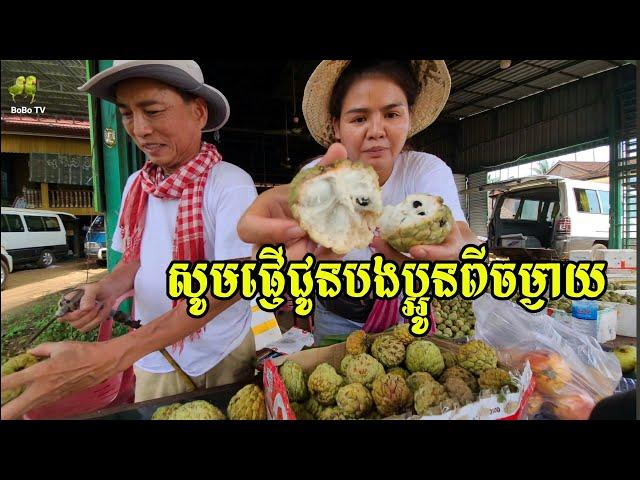 387.រដូវផ្លែទៀបនៅភូមិខ្ញុំ លោកគ្រូទិញផ្លែទៀបផ្ញើទៅប្អូនៗគាត់ Life in the Cambodian Countryside.