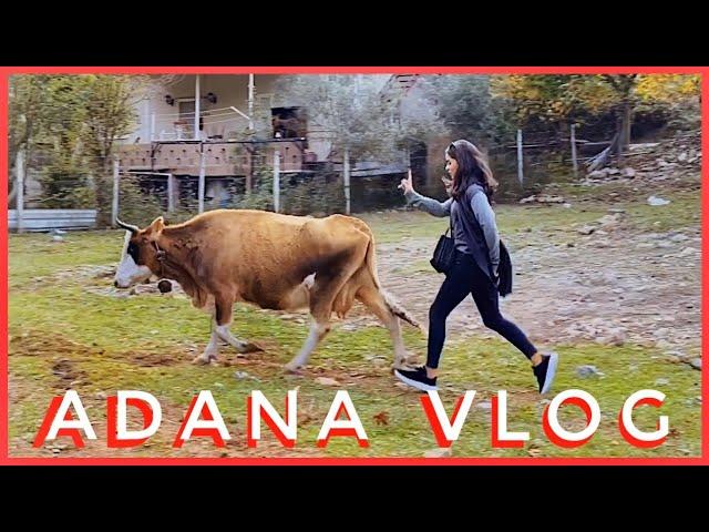 01 ADANA VLOG -  Pozantı ve Birtakım Adanasal Tuhaflıklar