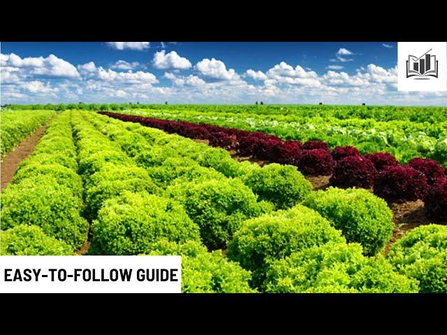 How to Start a Vegetable Farming Business