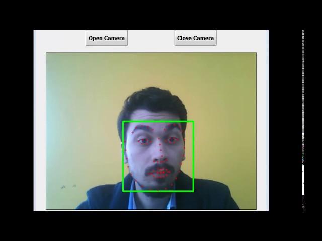 Facial Landmarks Dlib OpenCV C++ Qt GUI