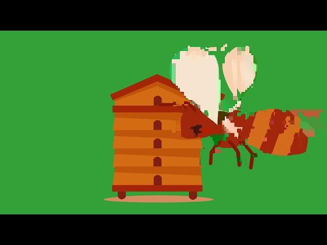 Cartoon Bee - Green Screen