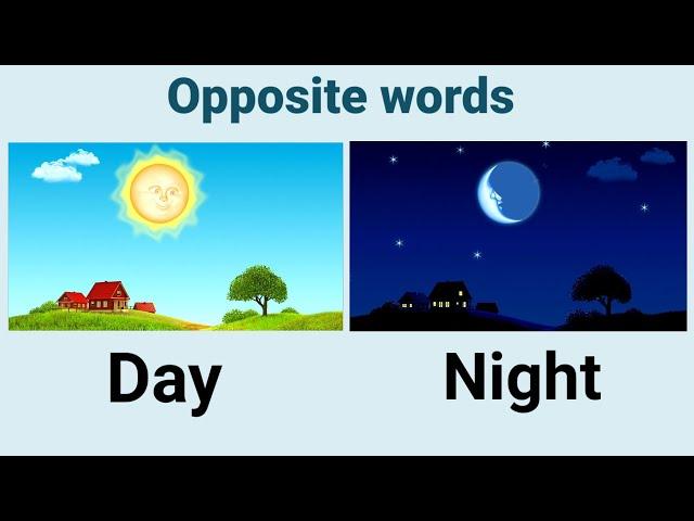 Opposite words in English. Opposite words for preschoolers/kids. Educational video. Antonym for kids