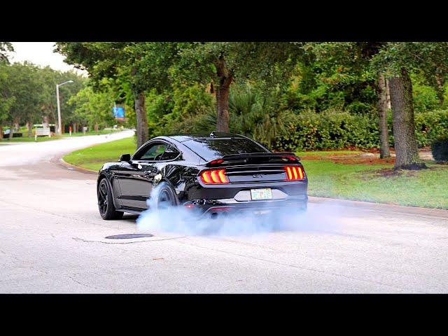 Mustangs at Daytona 2023 - Fast Performance Night Meet Pullouts & Burnouts!!