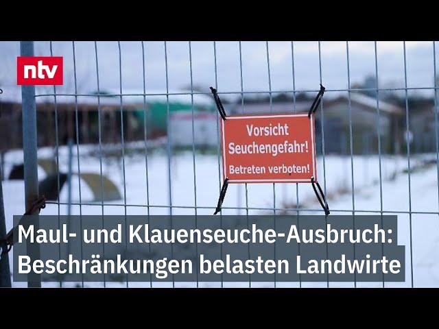 Maul- und Klauenseuche-Ausbruch: Beschränkter Fleischhandel belastet deutsche Landwirte | ntv