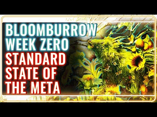 MTG Standard Bloomburrow Week 0 | MTG Rebellion State of the Meta