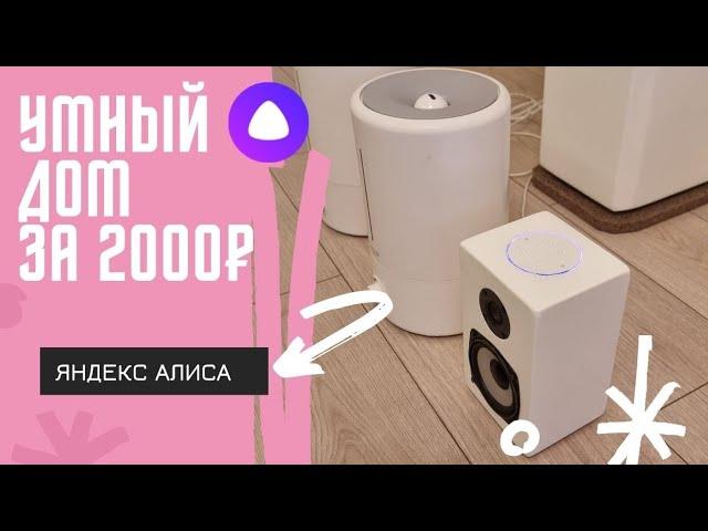 Умный дом за 2000₽ Xiaomi + Яндекс Алиса Делаем умные увлажнители.