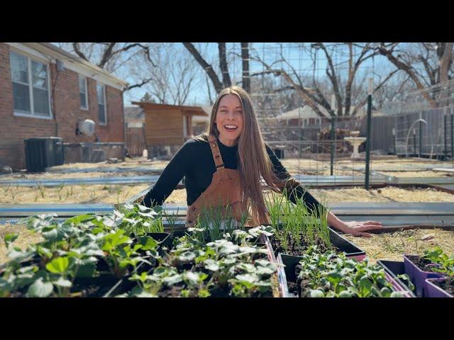 Poppies, Peas, & Plans - Spend The Day Gardening With Me