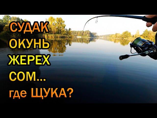 КАК ПОЙМАТЬ СУДАКА? Трудовая рыбалка. Поймал всех кроме щуки.