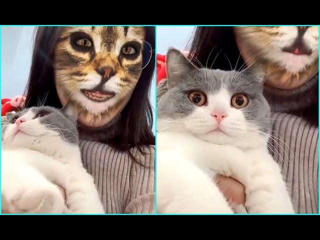 Cats Scared Of Cat Mask Filter -  Cat Reaction To Mask Filter #1