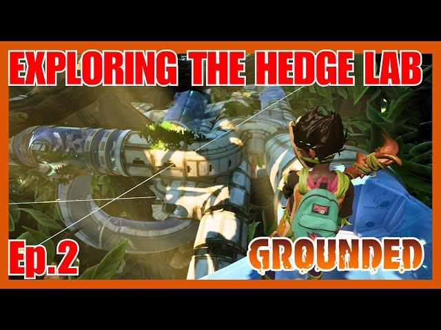 How to Get the Hedge Lab Superchip - Grounded