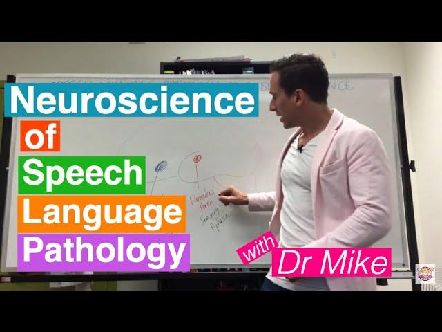 Neuroscience of Speech Language Pathology (SLP)