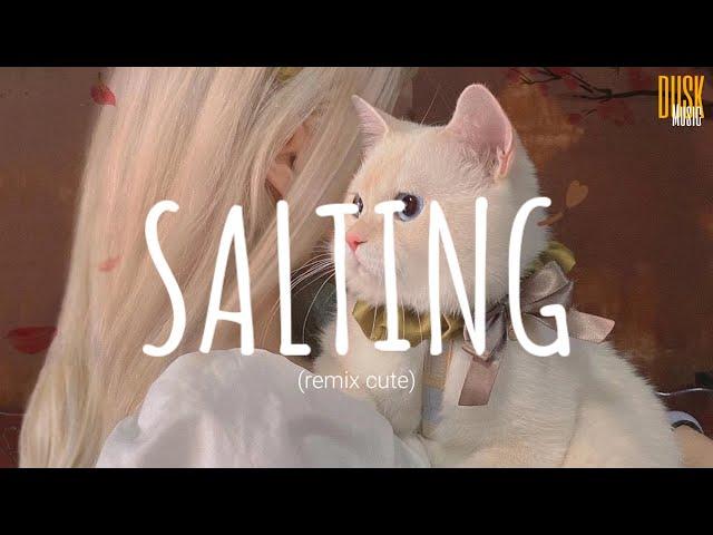 Salting (remix cute) - Rendy Da Silva // (Vietsub + Lyric) Tik Tok Song