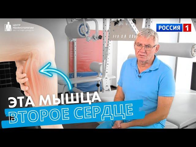 Хотите помочь своему сердцу? Делайте упражнения для икр