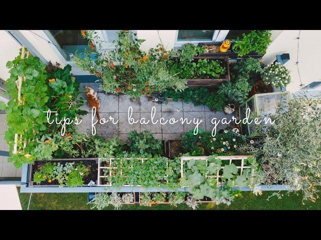 #28 Essential Tips for Starting a Balcony Vegetable Garden | Urban Gardening