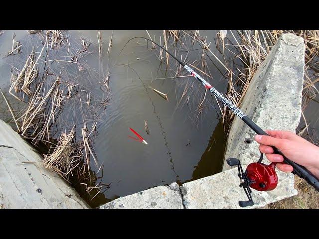 20 см ВОДЫ, а ЗОЛОТОЙ ПРЁТ ПОПЛАВОК...Рыбалка в луже на карася! Весна 2023