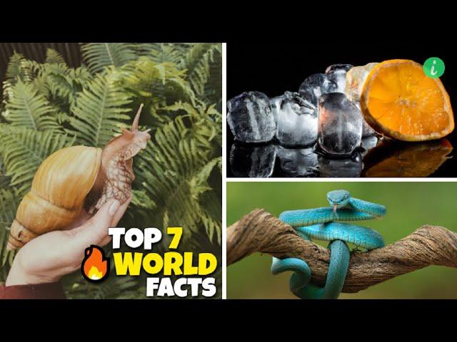 Top 7 Interesting Facts About The World | World Facts | Info Hifi