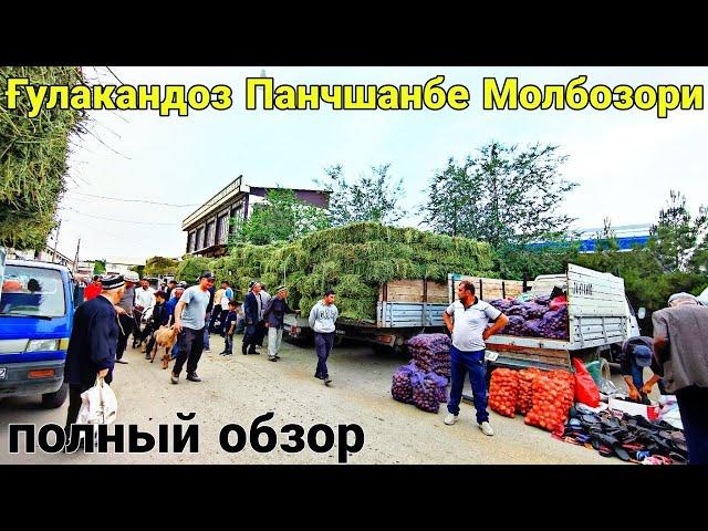 Ғулакандоз Панчшанбе Молбозори. Полный Обзор.Бозор Зур Булди.14.06.2024.