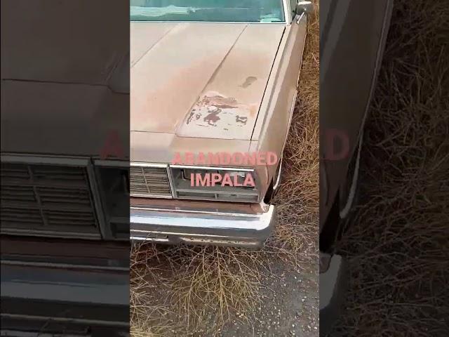 WHO ABANDONED THIS CHEVY IMPALA SMH #like #subscribe #share #car