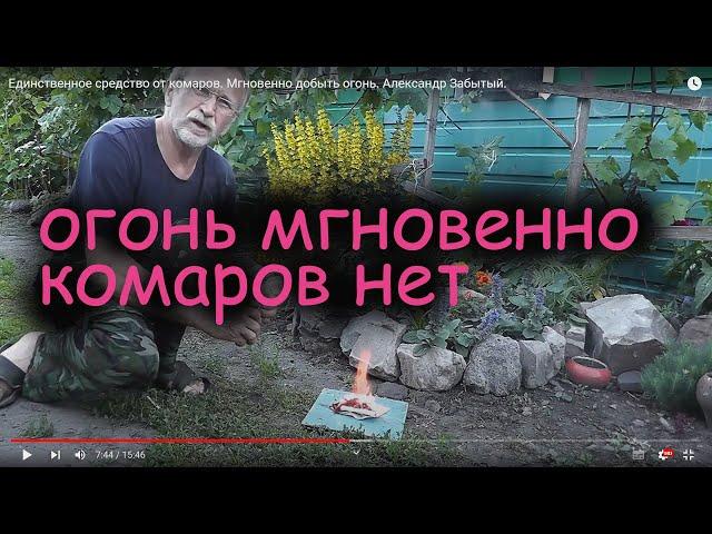 Единственное средство от комаров. Мгновенно добыть огонь. Александр Забытый.