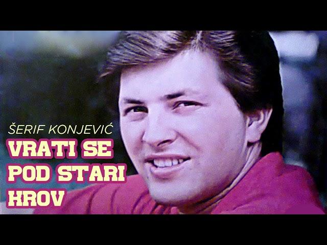 Serif Konjevic - Gledam sliku sad udate zene - (Audio 1981)