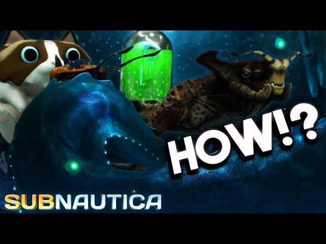 Subnautica - A Gargantuan Arctic Leviathan REVEALED!? NEW ITEMS & Arctic DLC Info - Full Release 1.0